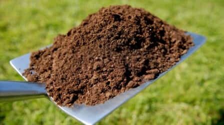 Best Compost For Lawn of 2025: Top 6 Picks Best Compost For Lawn of 2025: Top 6 Picks