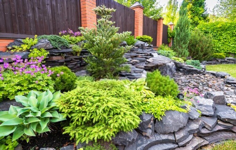 Landscaping Along A Fence Ideas