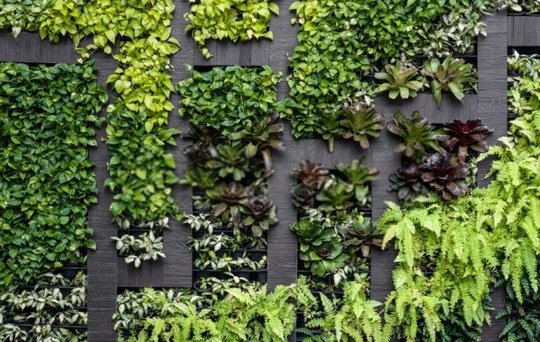 Landscaping Along A Fence Ideas