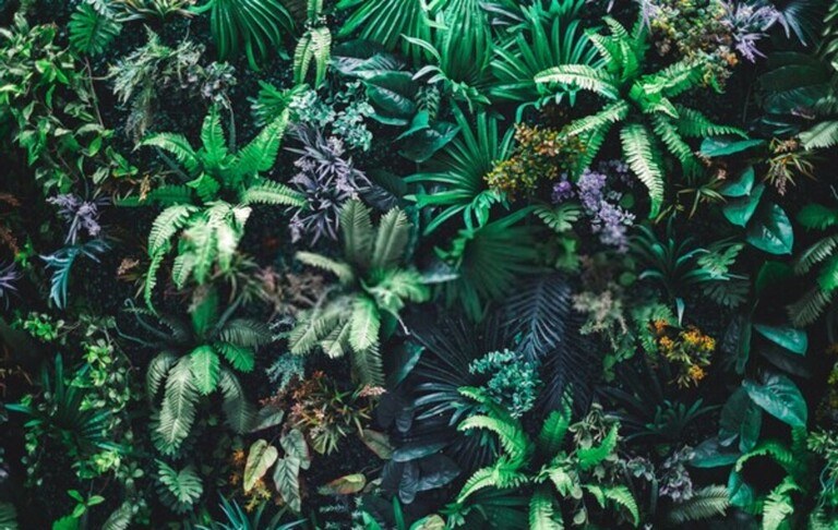 Landscaping Along A Fence Ideas