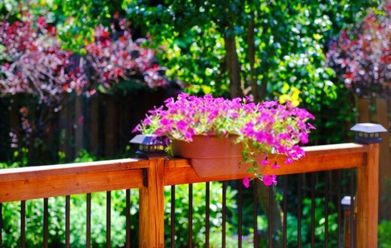 Landscaping Along A Fence Ideas Landscaping Along A Fence Ideas