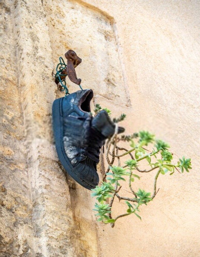 Landscaping Along A Fence Ideas