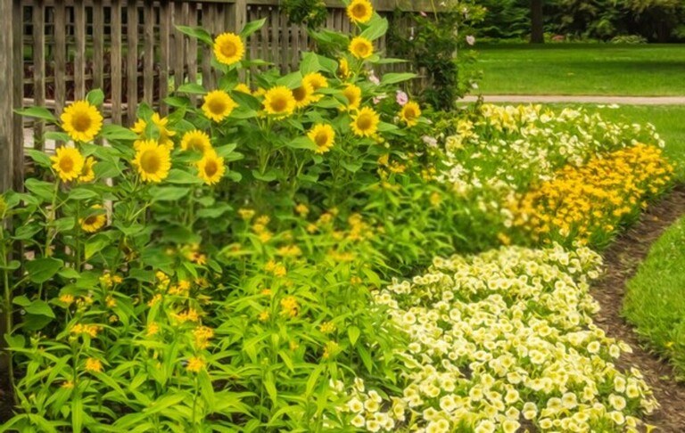 Landscaping Along A Fence Ideas