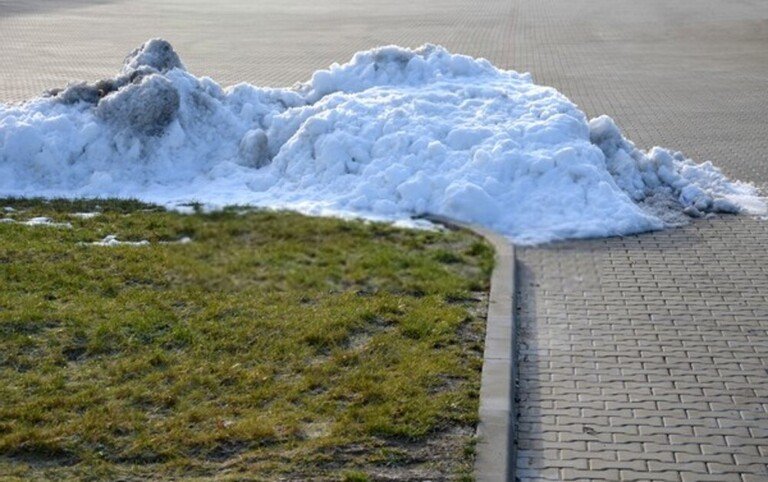 How To Repair Salt Damaged Lawn? How To Repair Salt Damaged Lawn?
