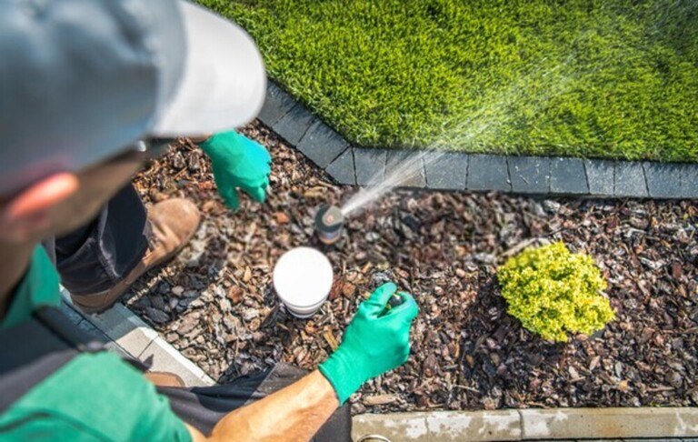 How To Repair Salt Damaged Lawn? How To Repair Salt Damaged Lawn?