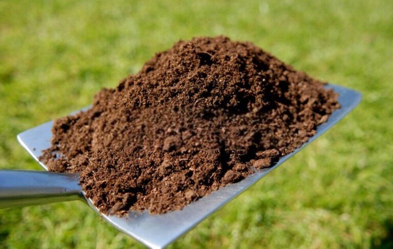 How To Repair Salt Damaged Lawn? How To Repair Salt Damaged Lawn?