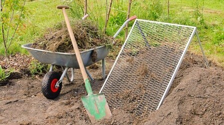 How To Repair Salt Damaged Lawn?