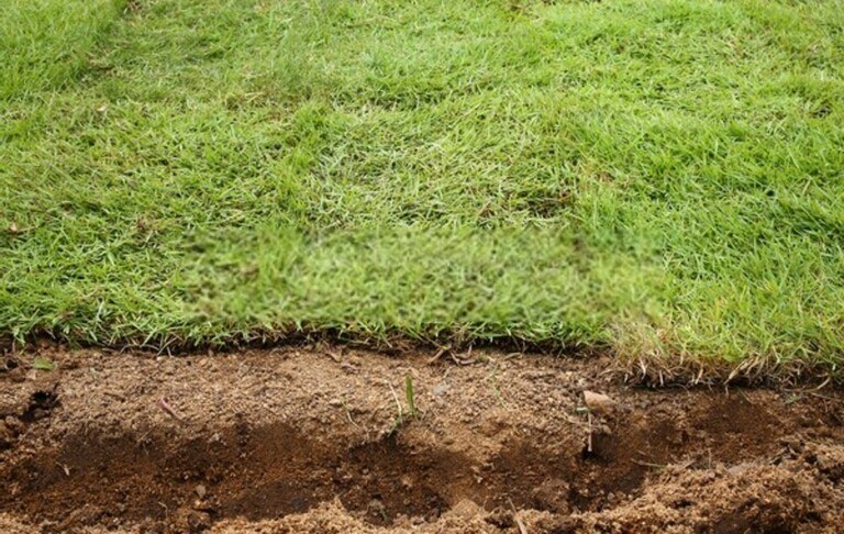 How To Prevent Erosion And Runoff In The Yard? How To Prevent Erosion And Runoff In The Yard?