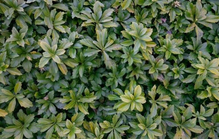How To Prevent Erosion And Runoff In The Yard? How To Prevent Erosion And Runoff In The Yard?