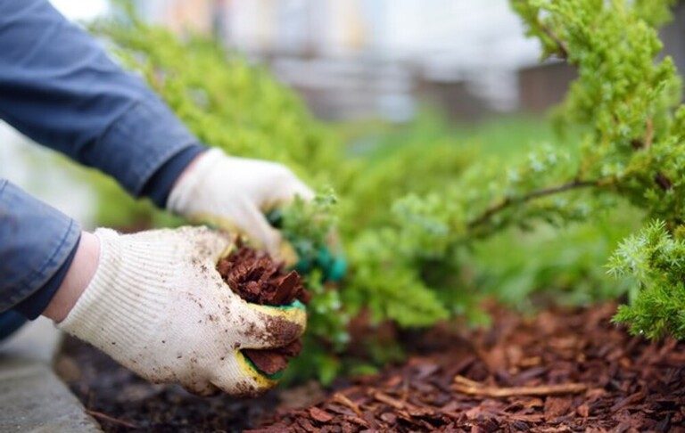 How To Prevent Erosion And Runoff In The Yard? How To Prevent Erosion And Runoff In The Yard?