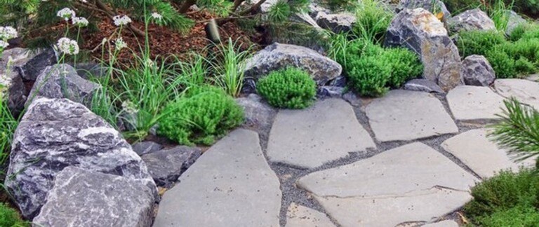 How To Prevent Erosion And Runoff In The Yard? How To Prevent Erosion And Runoff In The Yard?