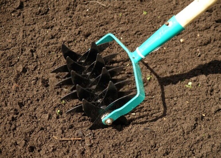 How To Prepare Ground For Vegetable Garden? How To Prepare Ground For Vegetable Garden?