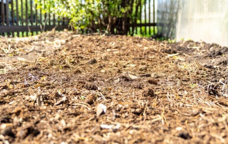 How To Prepare Ground For Vegetable Garden? How To Prepare Ground For Vegetable Garden?