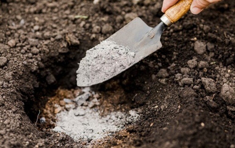 How To Prepare Ground For Vegetable Garden? How To Prepare Ground For Vegetable Garden?