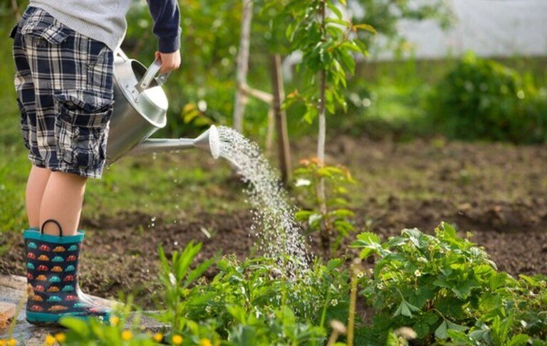 Landscaping Tips For Make Your Home More Energy Efficient Landscaping Tips For Make Your Home More Energy Efficient