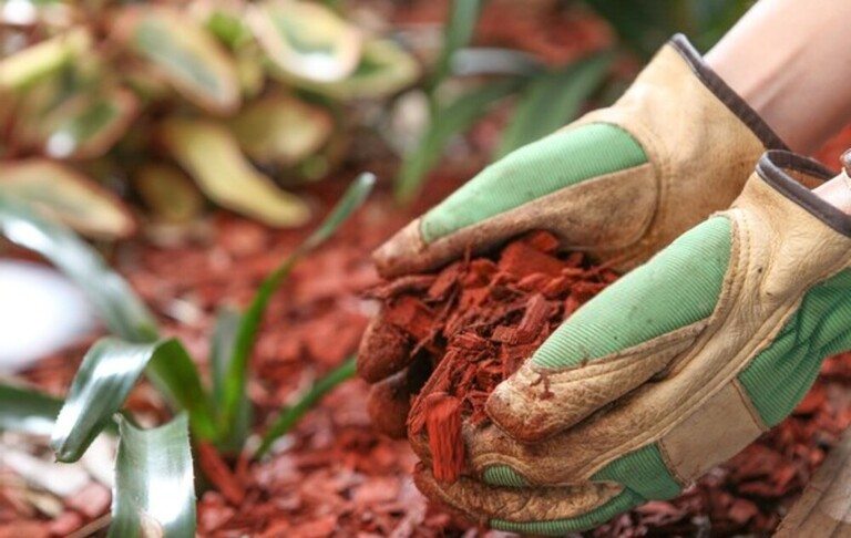 Landscaping Tips For Make Your Home More Energy Efficient Landscaping Tips For Make Your Home More Energy Efficient