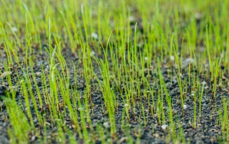 Landscaping Tips For Make Your Home More Energy Efficient Landscaping Tips For Make Your Home More Energy Efficient