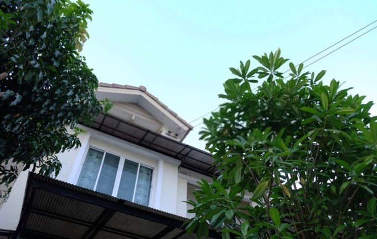 Landscaping Tips For Make Your Home More Energy Efficient Landscaping Tips For Make Your Home More Energy Efficient