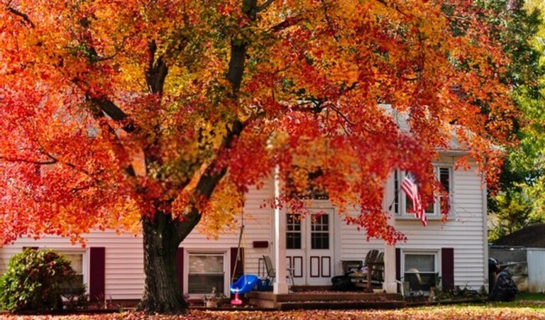 Landscaping Tips For Make Your Home More Energy Efficient Landscaping Tips For Make Your Home More Energy Efficient