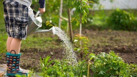 Landscaping Tips For Make Your Home More Energy Efficient