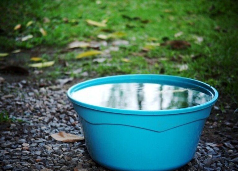 Creative Ideas For A Child-Friendly Garden Creative Ideas For A Child-Friendly Garden
