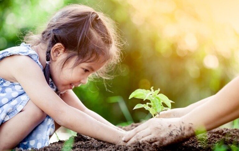 Creative Ideas For A Child-Friendly Garden Creative Ideas For A Child-Friendly Garden