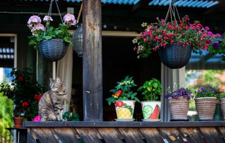 How Do I Make My Outdoor Space Feel Cozy And More Inviting? How Do I Make My Outdoor Space Feel Cozy And More Inviting?