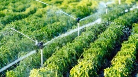 How To Install A Drip Irrigation System?