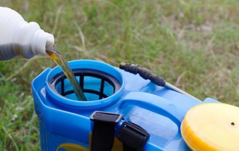 How Do I Get Rid Of Aquatic Weeds In My Pond? How Do I Get Rid Of Aquatic Weeds In My Pond?