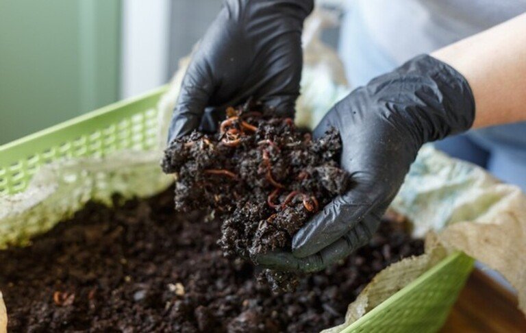 How Do You Set Up A Worm Farm At Home? How Do You Set Up A Worm Farm At Home?