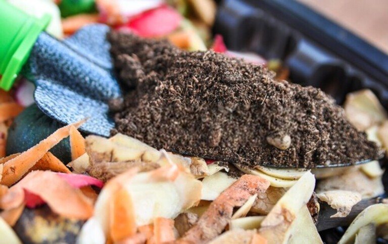 How Do You Set Up A Worm Farm At Home? How Do You Set Up A Worm Farm At Home?