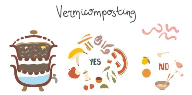 How Do You Set Up A Worm Farm At Home? How Do You Set Up A Worm Farm At Home?