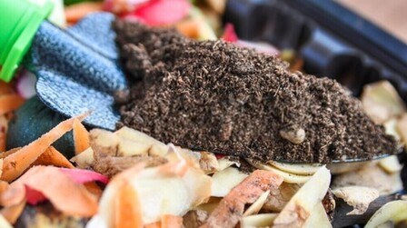 How Do You Set Up A Worm Farm At Home?