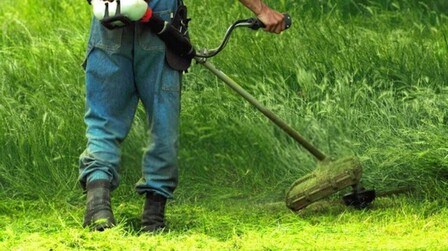9 Most Powerful Weed Eaters of 2026