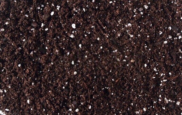 How To Start Seeds Indoors With Grow Lights? How To Start Seeds Indoors With Grow Lights?