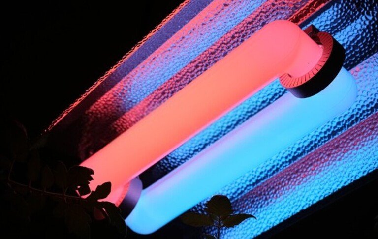How To Start Seeds Indoors With Grow Lights? How To Start Seeds Indoors With Grow Lights?