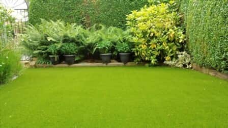 6 Most Realistic Artificial Outdoor Plants of 2025 6 Most Realistic Artificial Outdoor Plants of 2025