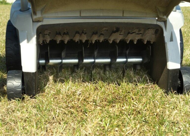 How to Revive Centipede & St. Augustine Grasses? How to Revive Centipede & St. Augustine Grasses?