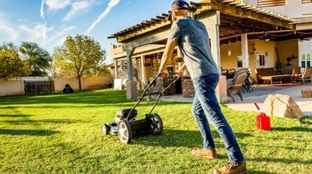 How to Revive Centipede & St. Augustine Grasses?