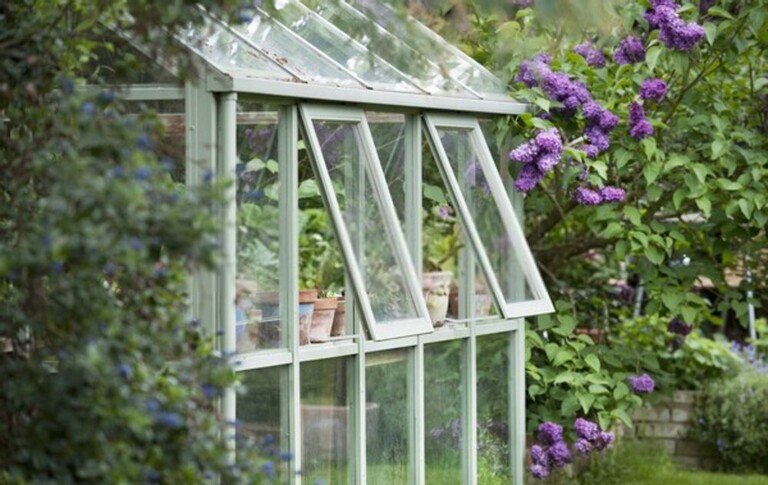 How To Harden Off Indoor-Sown Plants How To Harden Off Indoor-Sown Plants