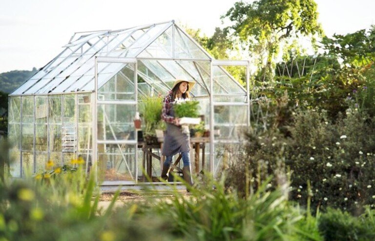 How To Harden Off Indoor-Sown Plants How To Harden Off Indoor-Sown Plants