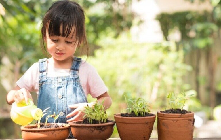 How To Harden Off Indoor-Sown Plants How To Harden Off Indoor-Sown Plants