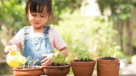 How To Harden Off Indoor-Sown Plants
