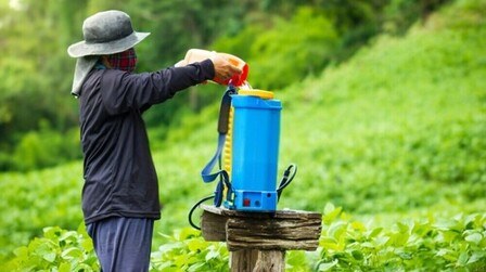 Best Insecticide For Cutworms of 2025: Top 6 Picks