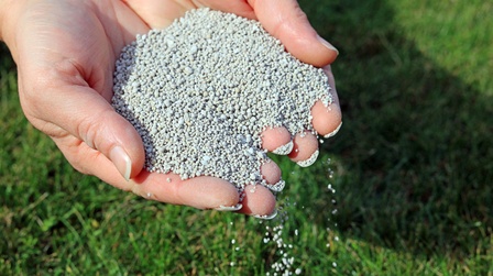 Best Liquid Fertilizer For Bermuda Grass of 2025: Top 6 Picks