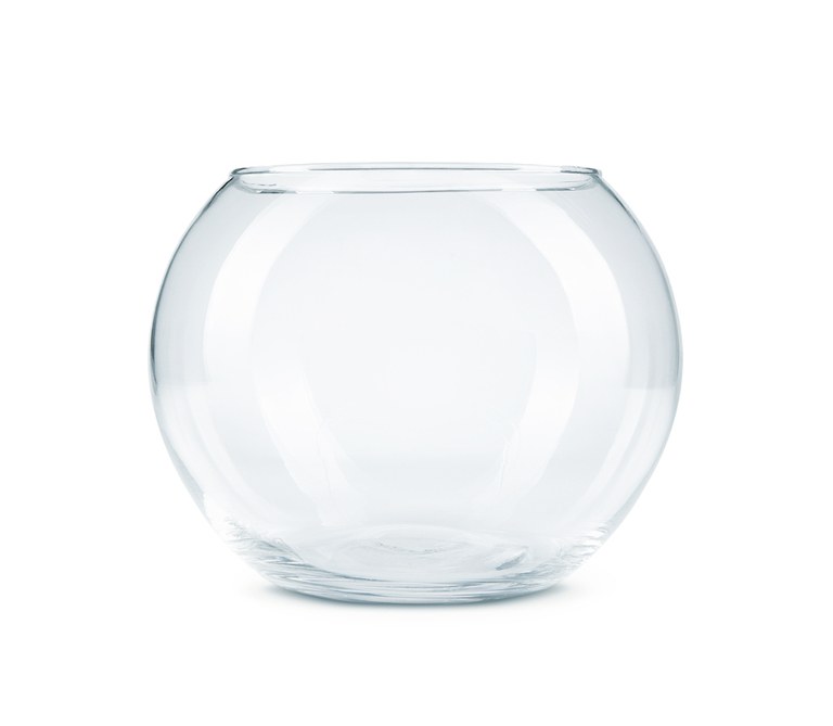 Garden Cloche Ideas to Protect Your Plants