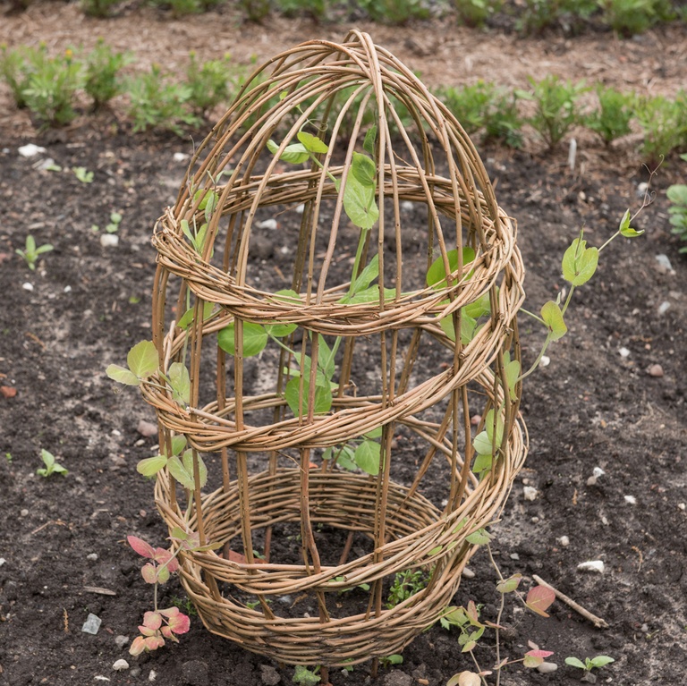 Garden Cloche Ideas to Protect Your Plants Garden Cloche Ideas to Protect Your Plants