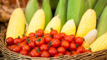 Why Shouldn’t You Grow These Plants Together?