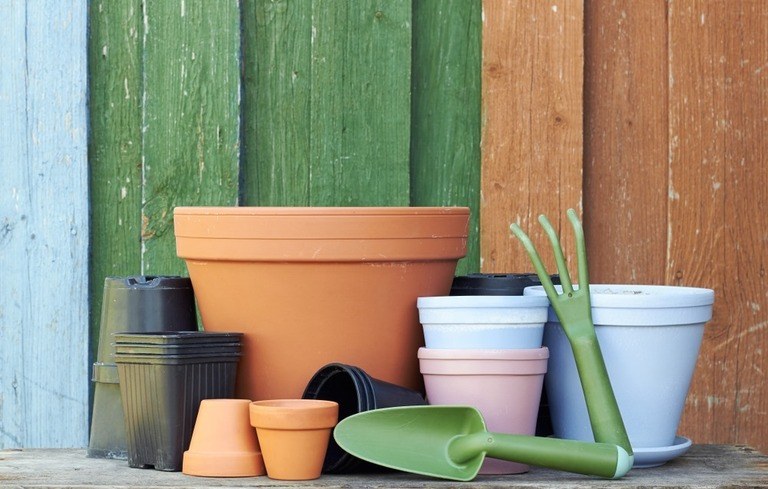Tips For Preventing Root Rot In Potted Plants Tips For Preventing Root Rot In Potted Plants