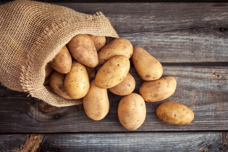 How To Store Potatoes And Onions? How To Store Potatoes And Onions?
